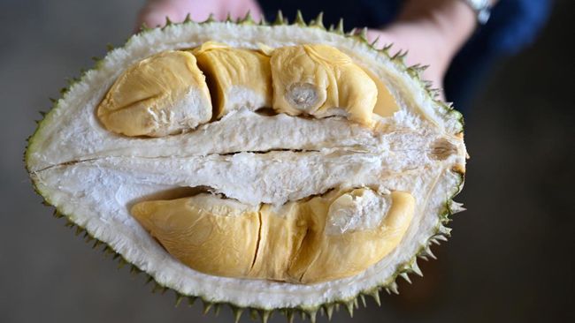 manfaat makan durian